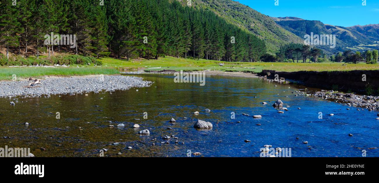 Uno sguardo alla vita in Nuova Zelanda. Luoghi comuni in Nuova Zelanda: Ruscelli cristallini e di pietra. Foto Stock