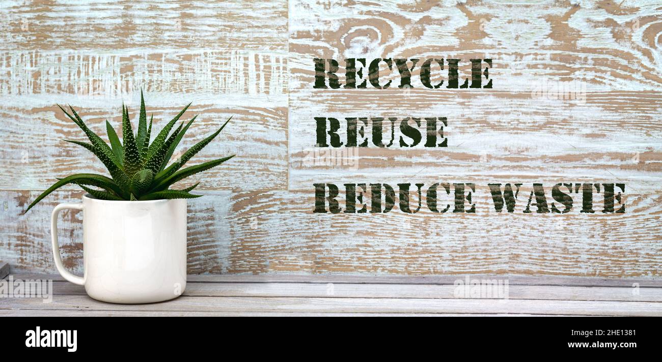 Vera tazza riutilizzata, riciclata come pentole di pianta per succolent con riutilizzo di riciclo ridurre i rifiuti di testo su sfondo di legno Foto Stock