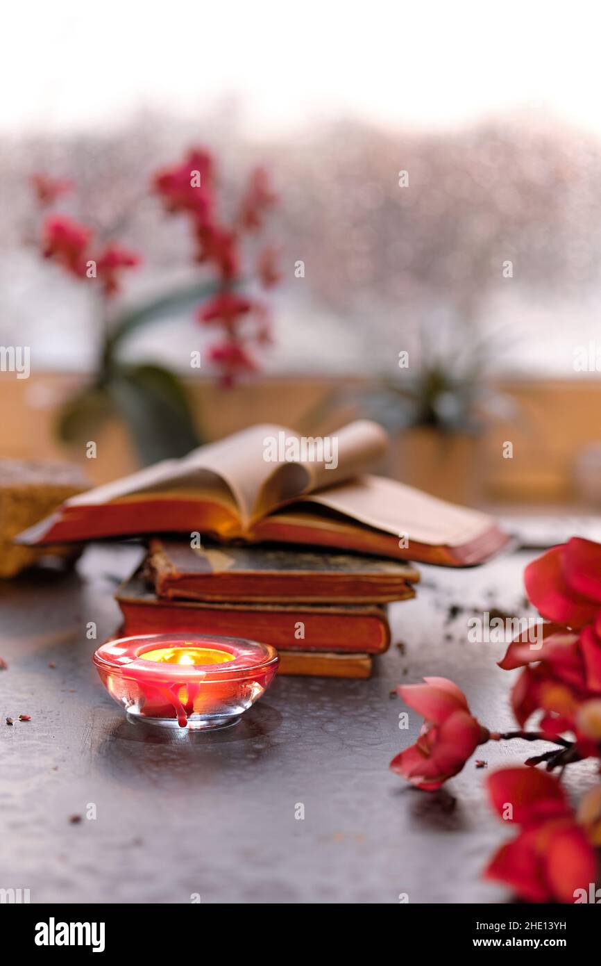 Inverno con candela su pila di vecchi libri. Finestra al tramonto con bagliore arancione, orchidea rosa e fucsia, fiori di magnolia. Candele aromatiche, luce del tè Foto Stock