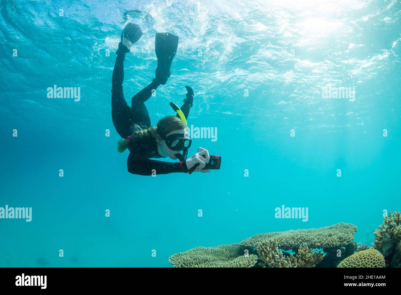 Uno snorkeler calcia sotto la superficie e tiene in mano una macchina fotografica scattando foto della barriera corallina sotto il mare rosso, in egitto. Foto Stock