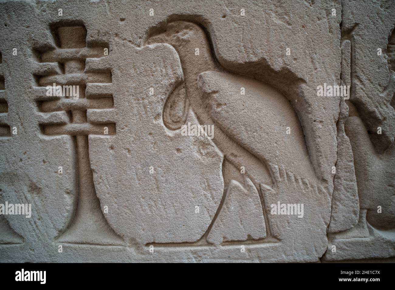 Un antico uccello intagliato sul muro del tempio a Edfu, Egitto. Forse uno sciamano africano. Foto Stock