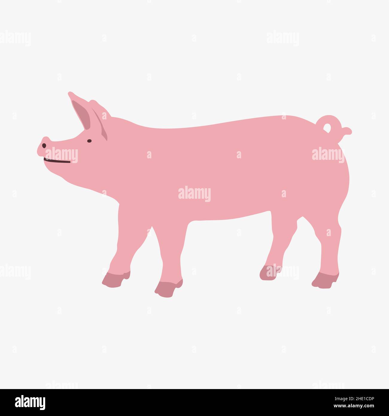 Illustrazione vettoriale di un maiale su sfondo bianco Illustrazione Vettoriale