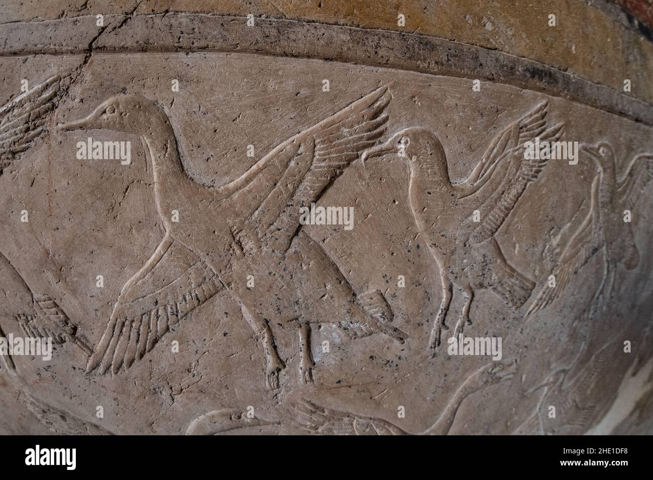 Antiche sculture egiziane di un gregge di cormorani sulle pareti di pietra del Tempio di Hatshepsut in Egitto. Foto Stock