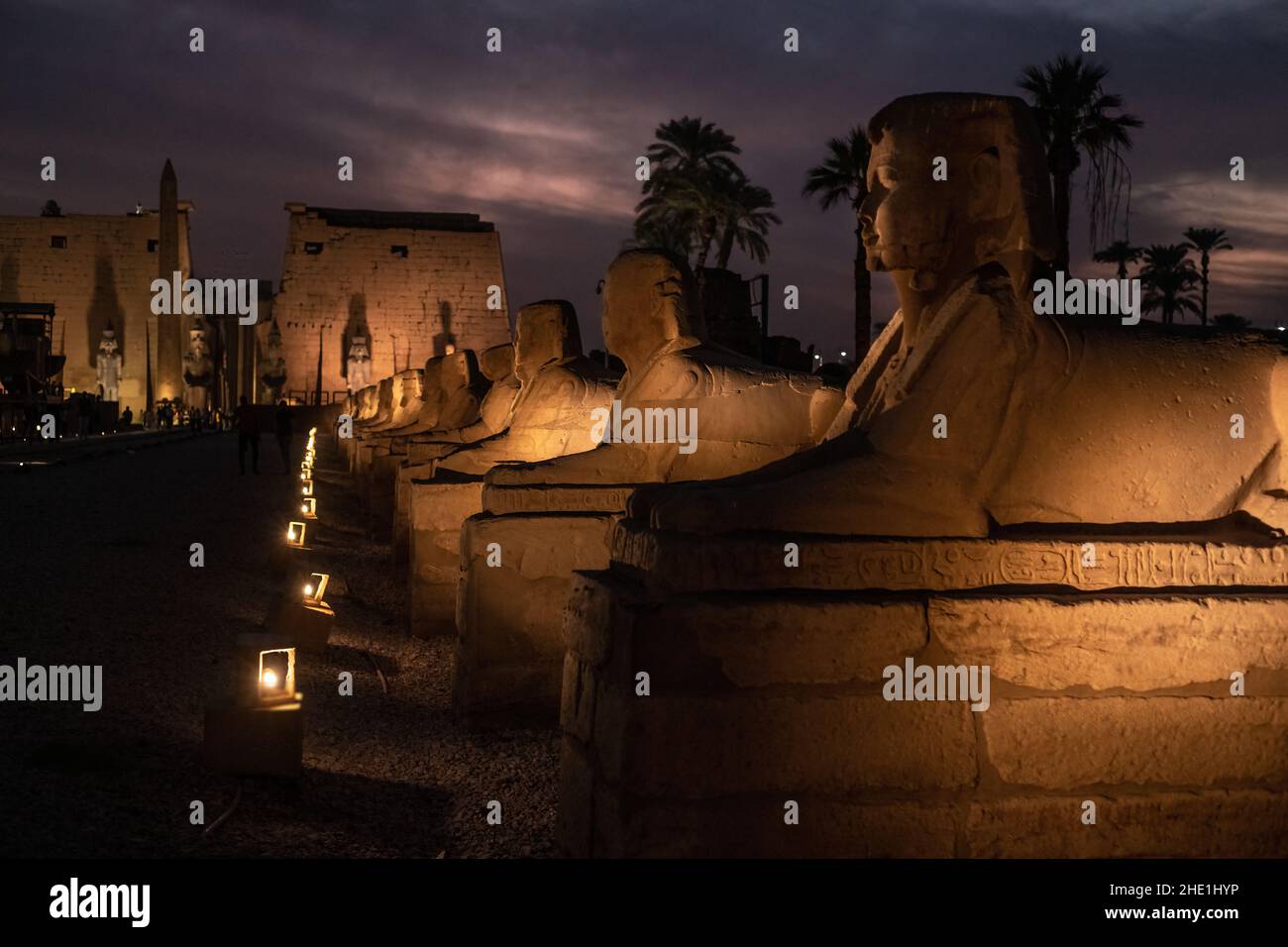 Il viale della strada sfingi al tempio di Luxor, Egitto drammaticamente illuminato di notte. La strada dei arieti è stata appena restaurata e riaperta di recente. Foto Stock