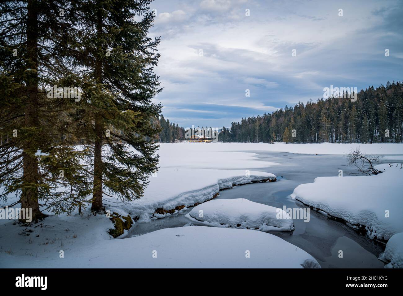 Inverno am Großen Arbersee im Bayerischen Wald Foto Stock