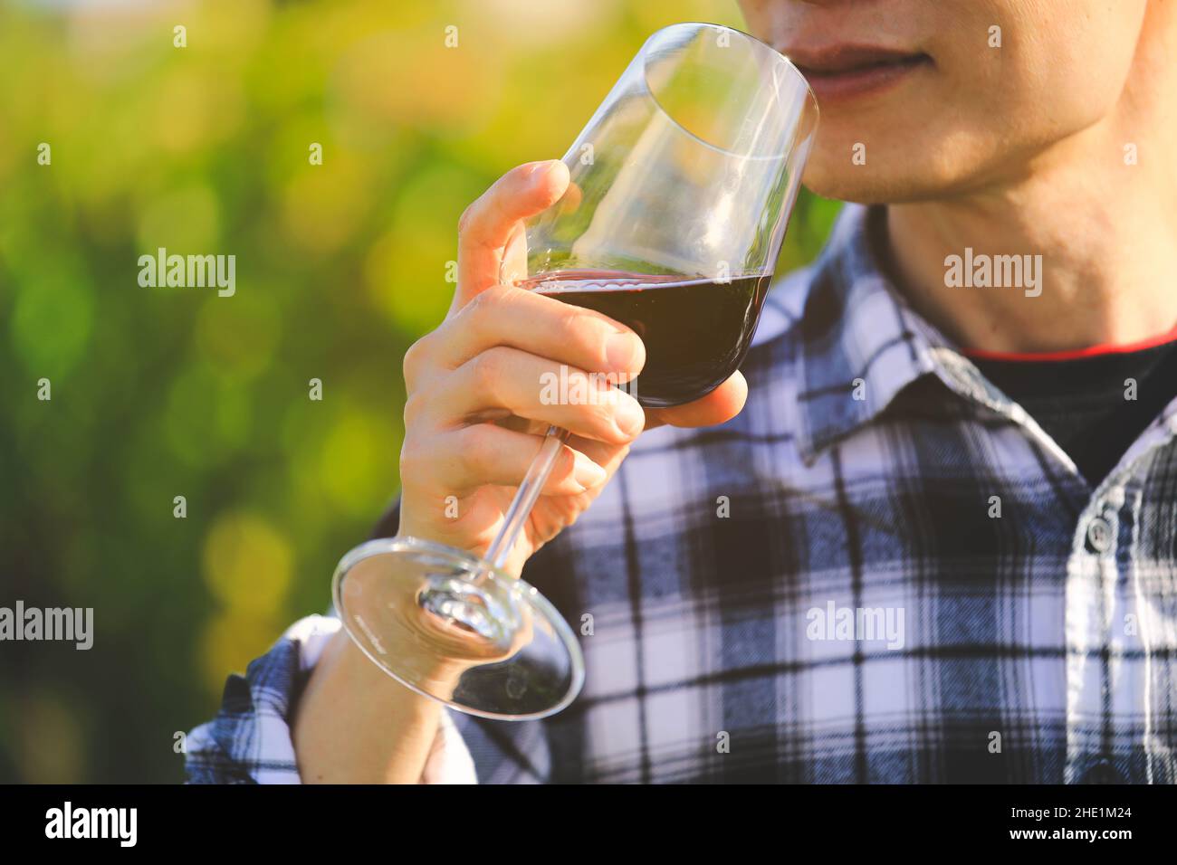 Attenzione selettiva al bicchiere di vino, uomo che tiene il bicchiere di vino rosso con sfondo verde naturale, concetto di celebrazione Foto Stock