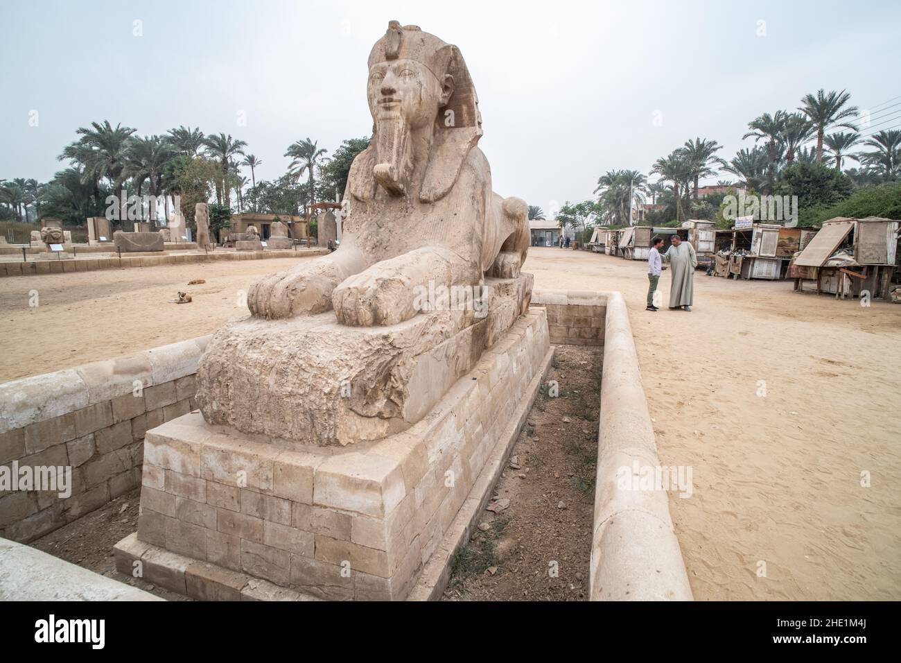 Una statua della sfinge in un museo all'aperto a Memphis, in Egitto, non lontano da saqqara. Foto Stock