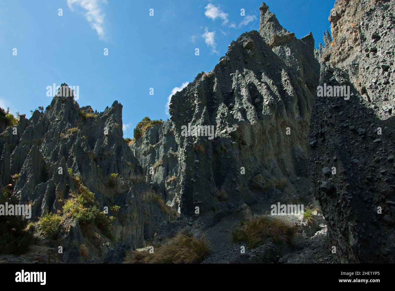 Pinnacoli di Putangirua nella regione di Wellington sull'Isola del Nord di New Zelanda Foto Stock