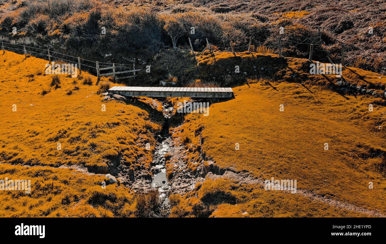Immagine aerea di un ponte di legno lungo il Llanon, sentiero costiero Ceredigion. Mostra cespugli di gorse sullo sfondo e un ruscello Foto Stock