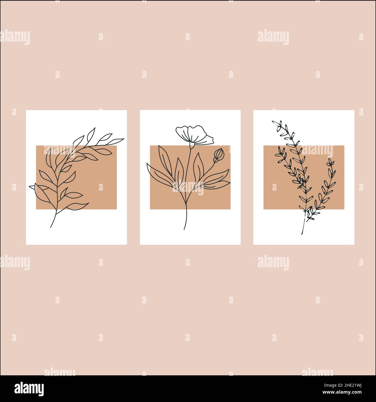 Set di stampa per fiori vettoriali. Poster botanico. Line Art, perfetto per l'arredamento, poster di Wall Art Illustrazione Vettoriale