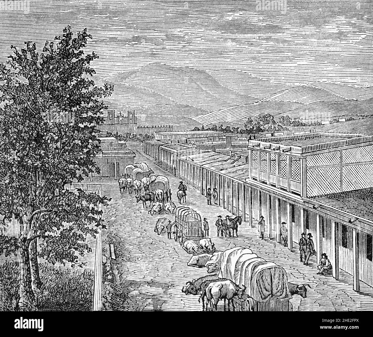 Un'illustrazione di fine 19th secolo di una scena di strada con carri e buoi in una città messicana sconosciuta. Foto Stock