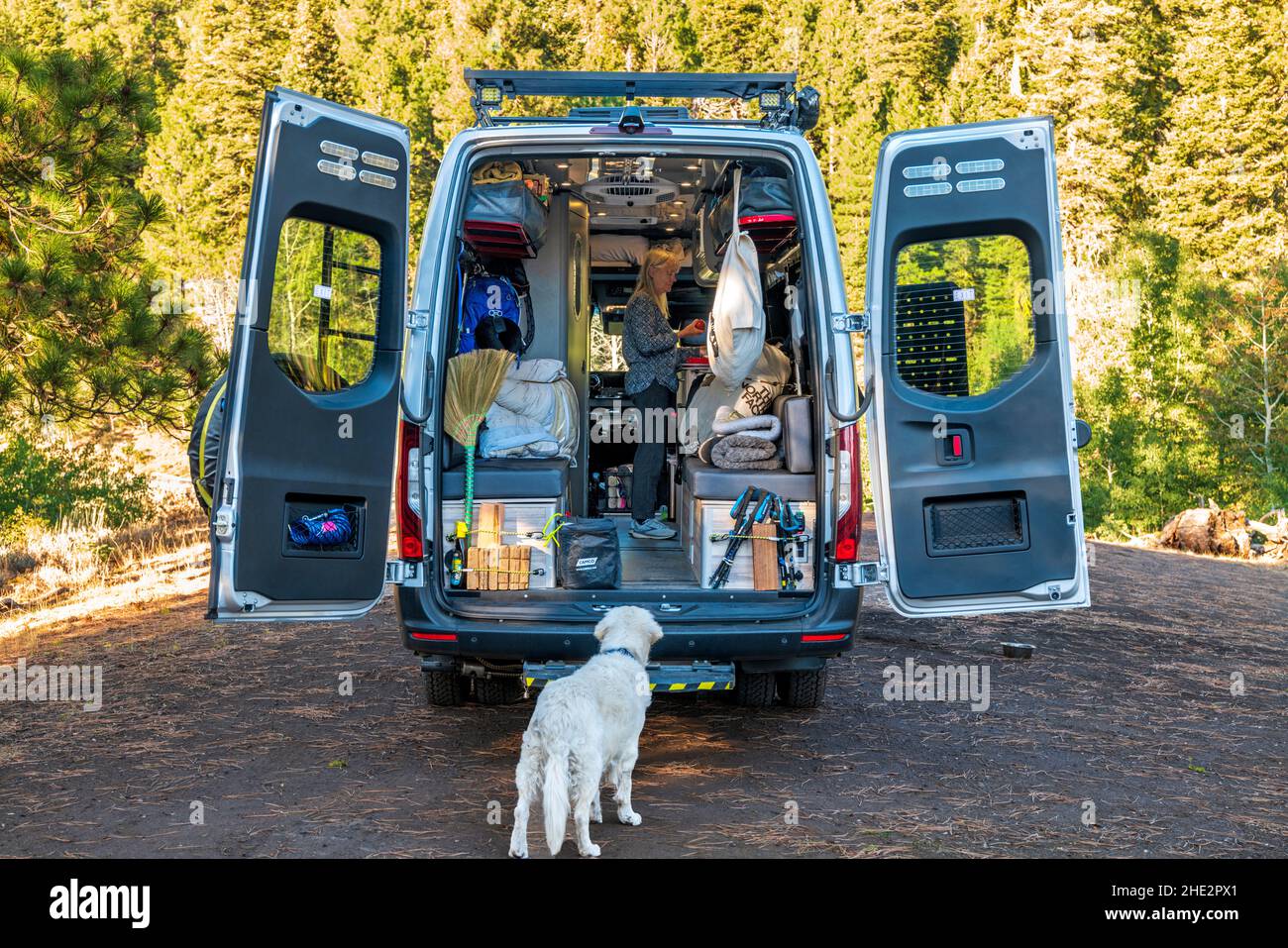 Platinum Golden Retriever cane; Airstream Interstate 24X campervan; esborsato campeggio; boondocking; Camus Sno-Park; National Forest; Vicino ad Adel; Oregon; Foto Stock