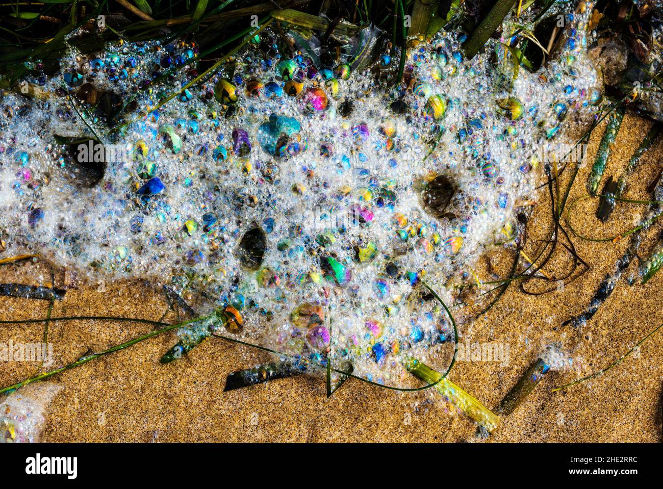 Bolle colorate in schiuma di mare; Fort Stevens state Park; Hammond; Oregon; USA Foto Stock