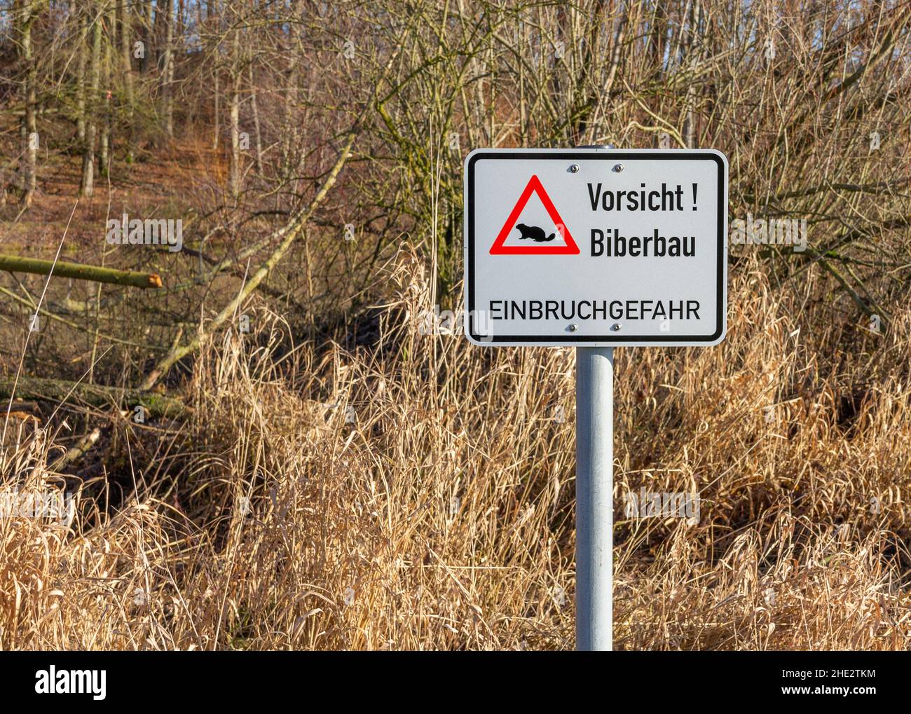 Beaver Lodge attenzione segno visto in Germania vicino a un habitat castoro in un ambiente soleggiato Foto Stock