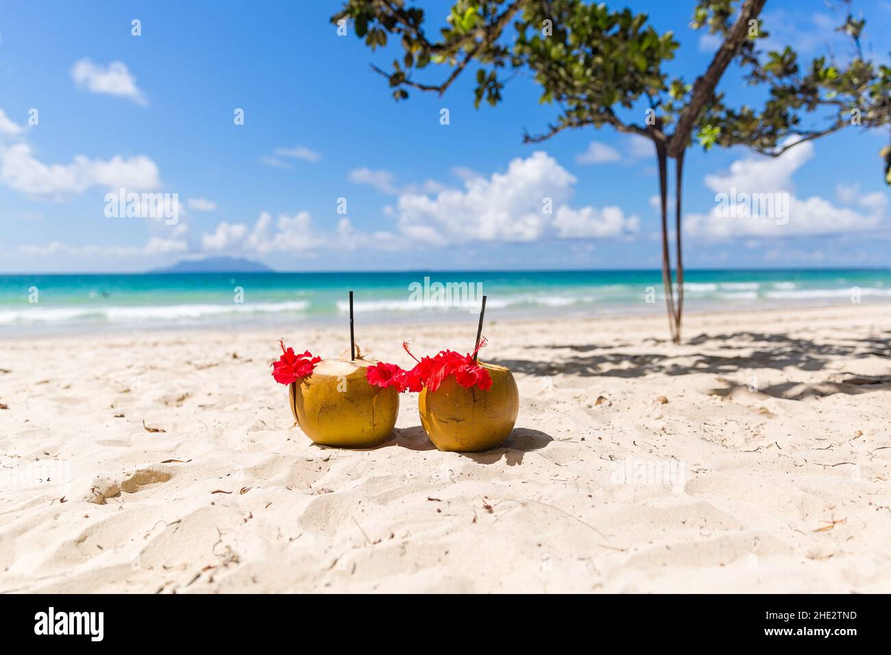 Due cocktail di cocco sulla spiaggia di sabbia bianca accanto al mare pulito con acqua blu. Vacanza e concetto di viaggio Foto Stock