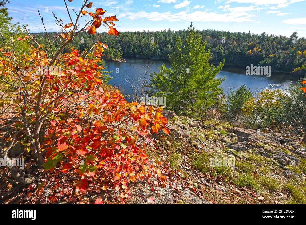 Killarney - Lake of the Woods Trail in autunno, Ontario, Canada Foto Stock