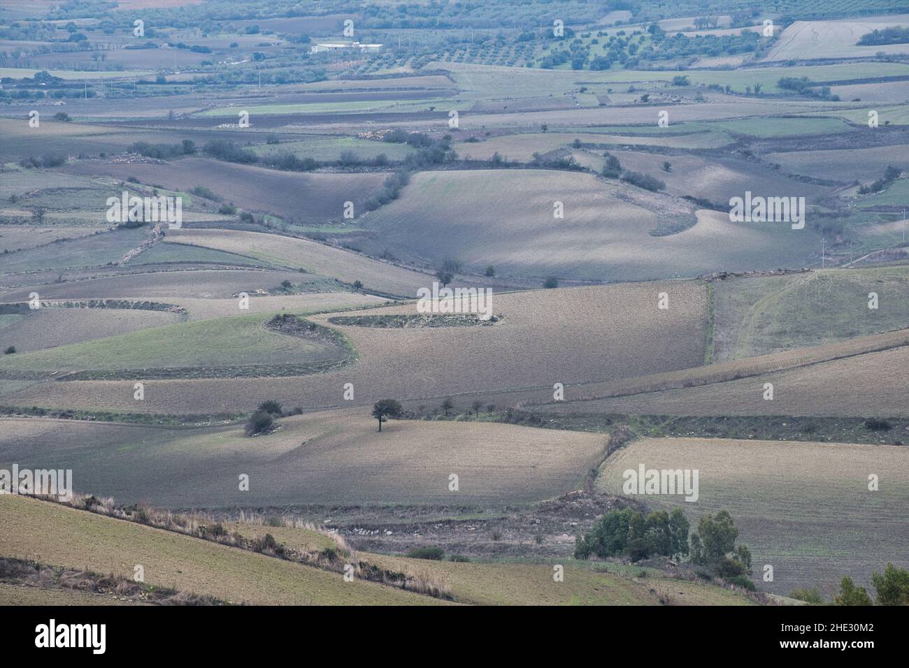 Paesaggio rurale invernale in Sardegna Foto Stock