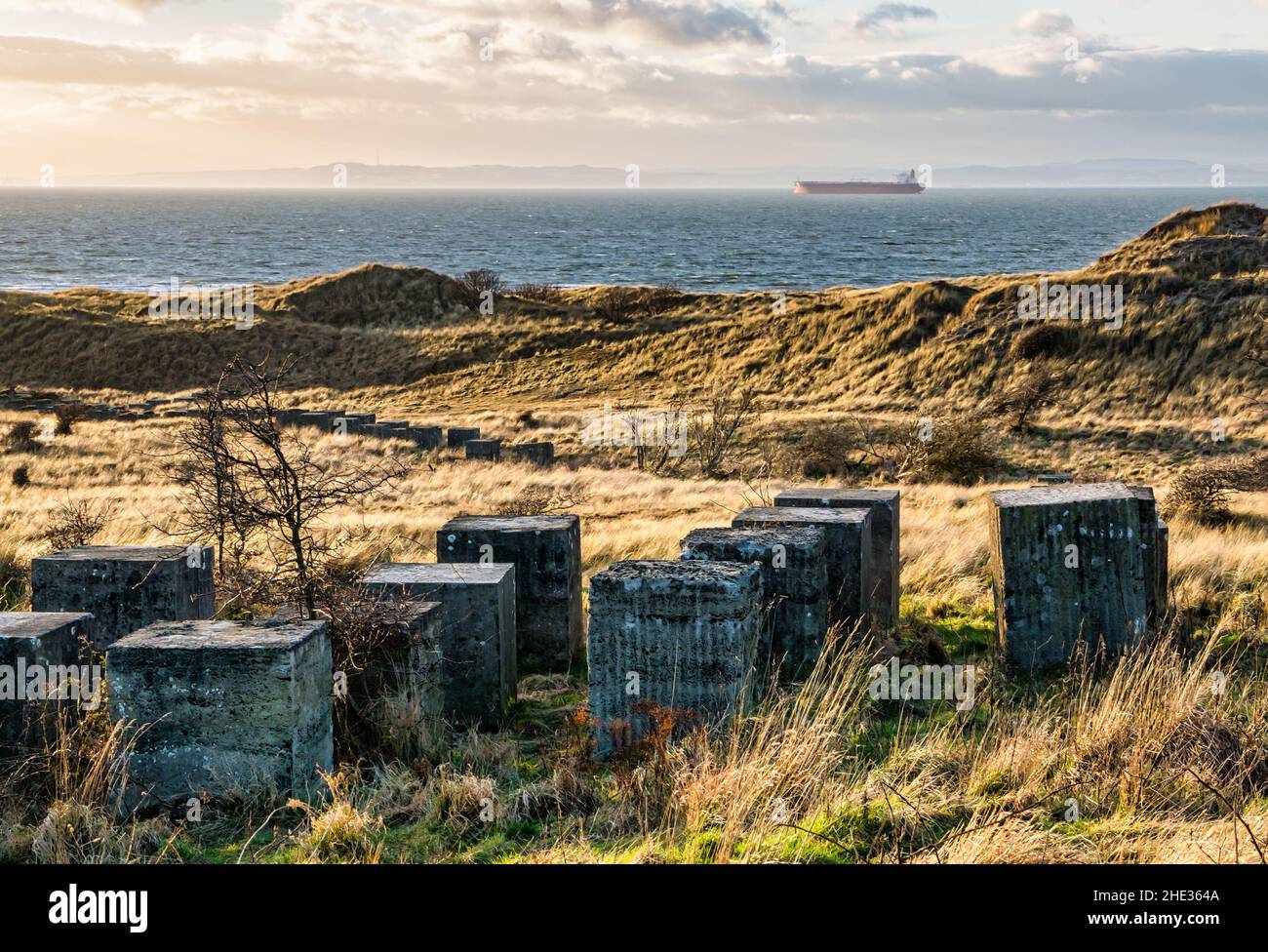 File di anticarro WWII blocchi di calcestruzzo costiero difese e vista di Firth of Forth, East Lothian, Scozia, Regno Unito Foto Stock