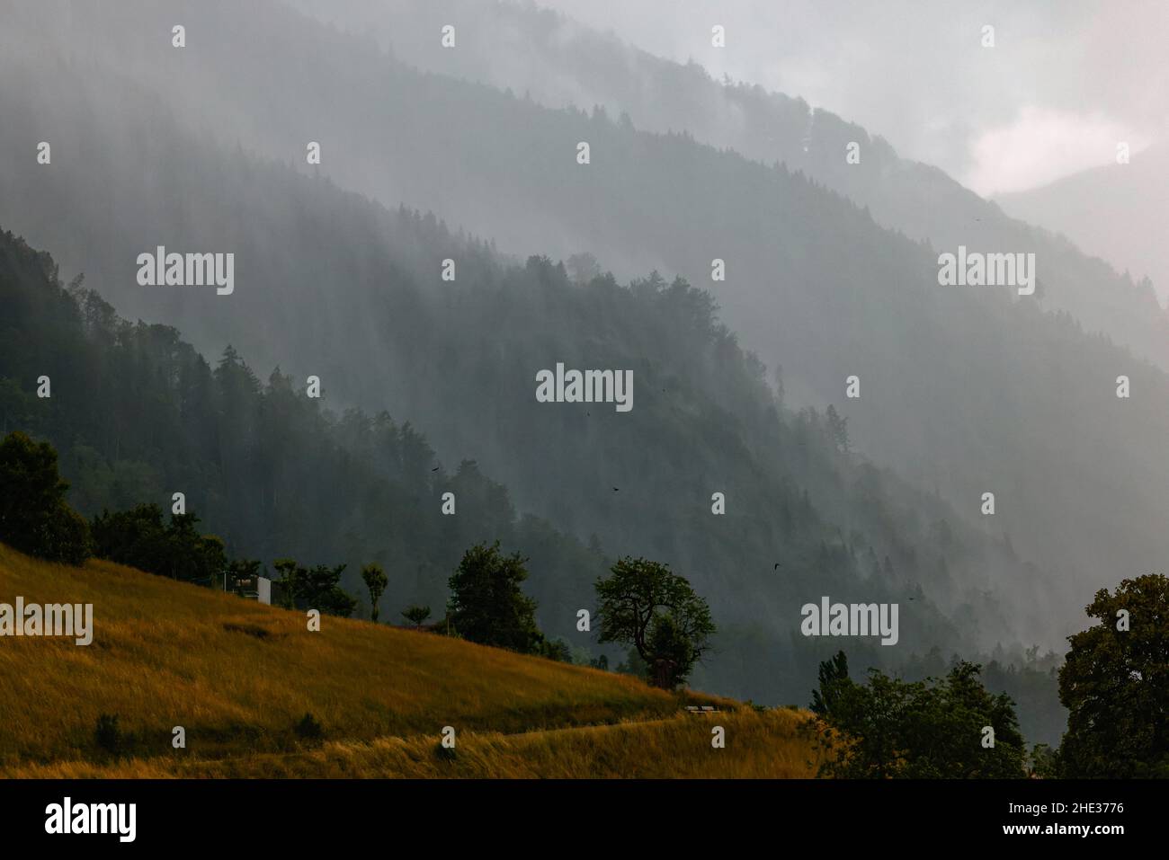 Montagne con fitte foreste coperte di smog pesante Foto Stock