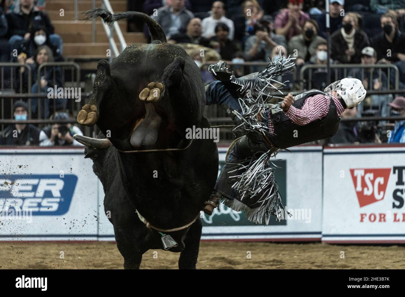 New York, Stati Uniti. 07th Jan 2022. Fernando Henrique Novais di Pereira Barreto, Brasile, guida un toro durante PBR scatenare la Bestia al Madison Square Garden di New York il 7 gennaio 2022. Si tratta di un evento annuale che è stato annullato nel 2021 a causa della pandemia COVID-19 e restituito quest'anno con il protocollo COVID in vigore. (Foto di Lev Radin/Sipa USA) Credit: Sipa USA/Alamy Live News Foto Stock