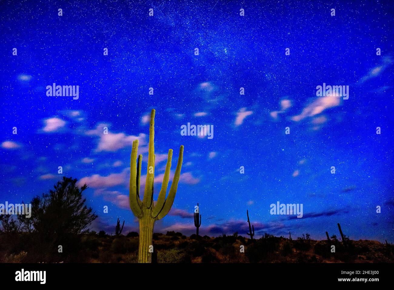 Cielo notturno con stelle e nuvole e cactus saguaro in primo piano dipinto con luce Bartlett Lake area Tonto National Forest nord-est di Phoenix, AZ Foto Stock