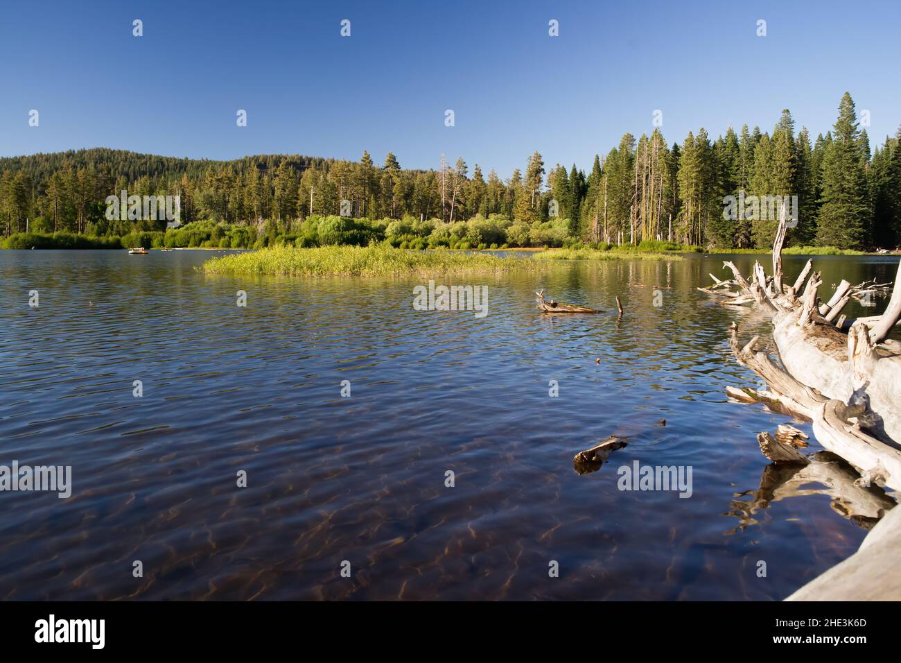 Lago Manzanita al crepuscolo con grande pino morto. Foto di paesaggio con atmosfera tranquilla e rilassante. Foto Stock