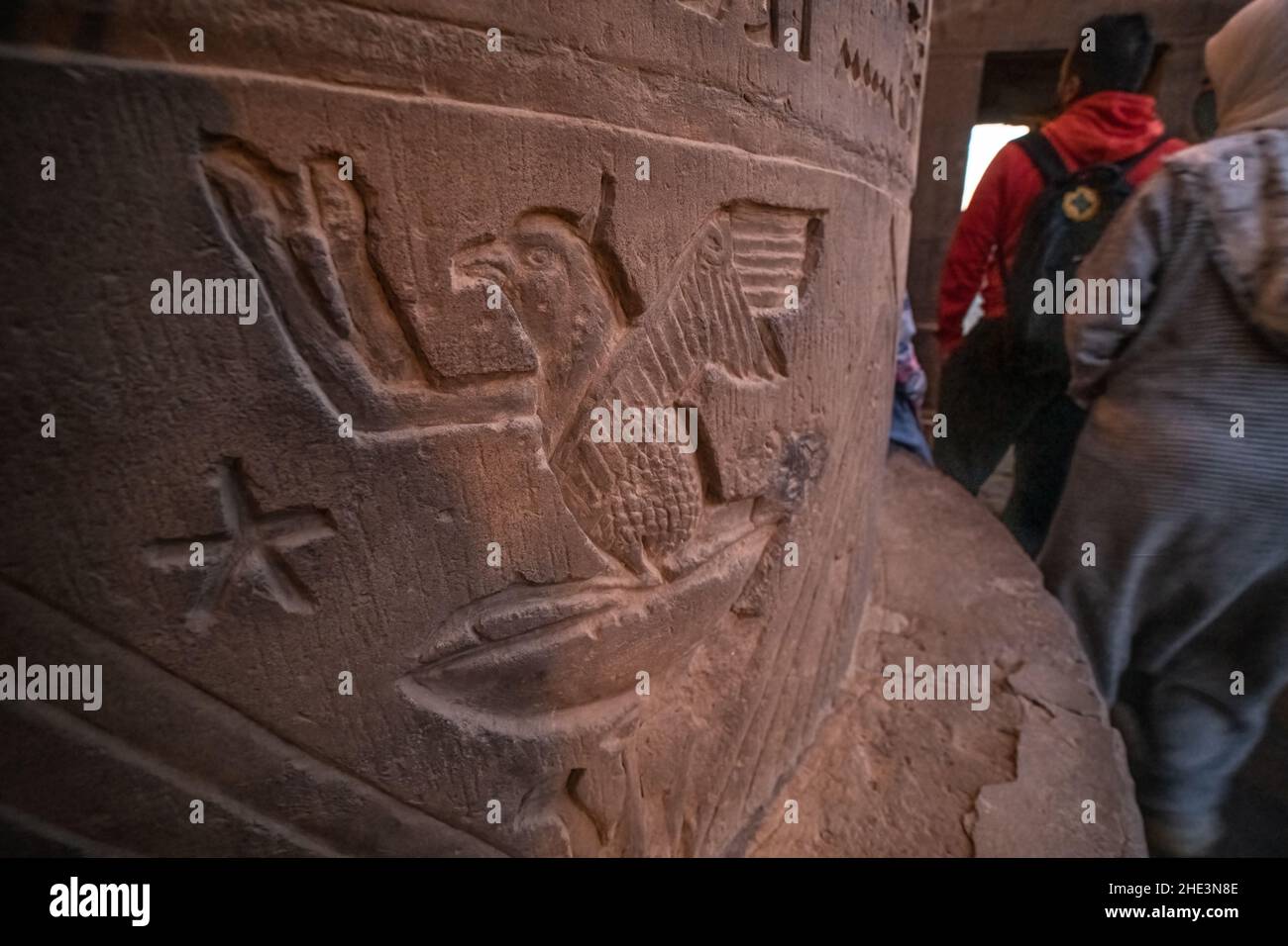 Il rapace o uccello lappato con le mani era destinato a simboleggiare la popolazione egiziana e appare spesso in templi come Kom Ombo in Egitto. Foto Stock