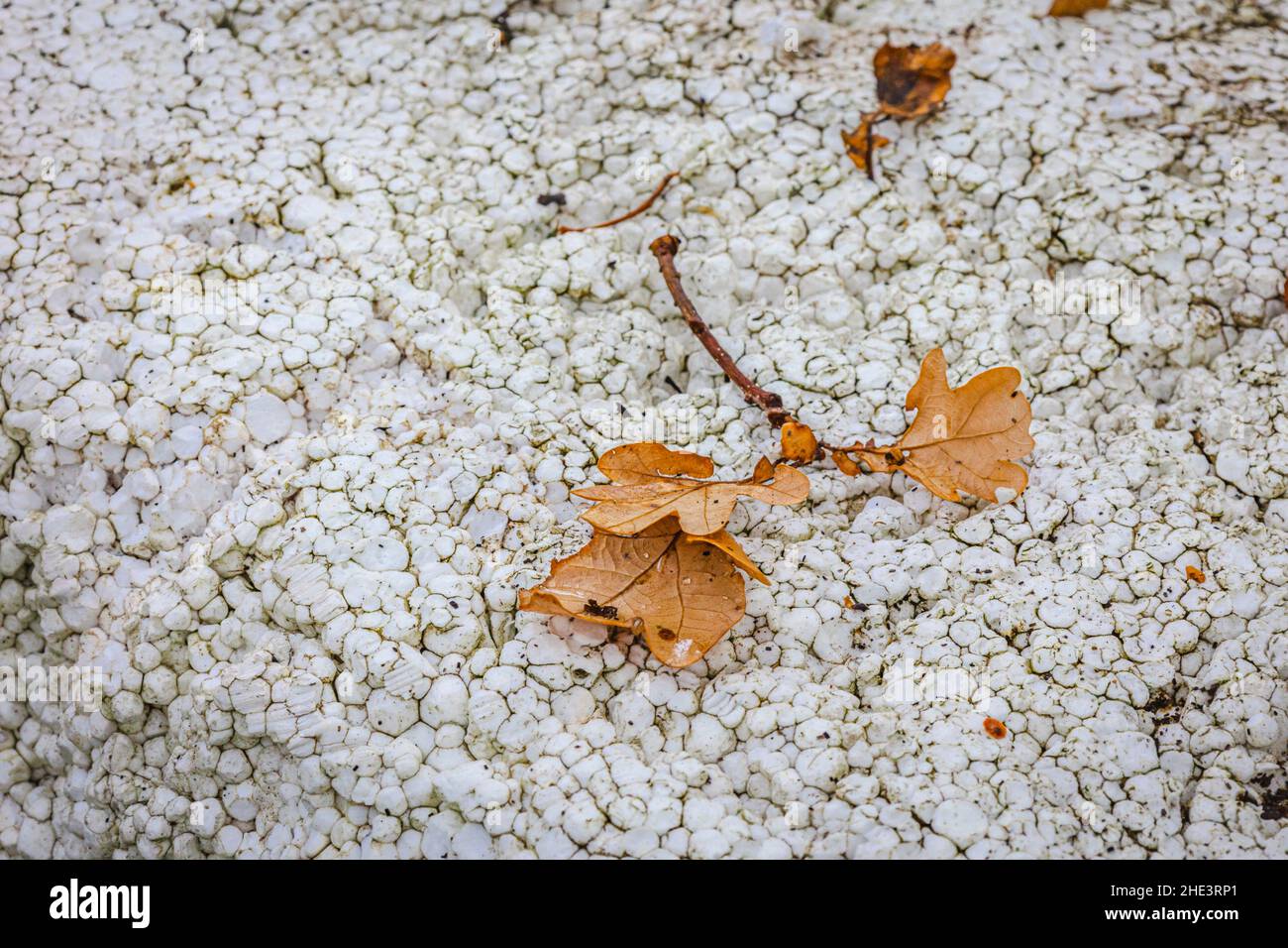 Natura in crisi, inquinamento plastico Foto Stock