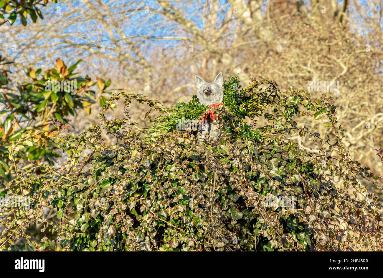Statua di un cane decorato per Natale Foto Stock