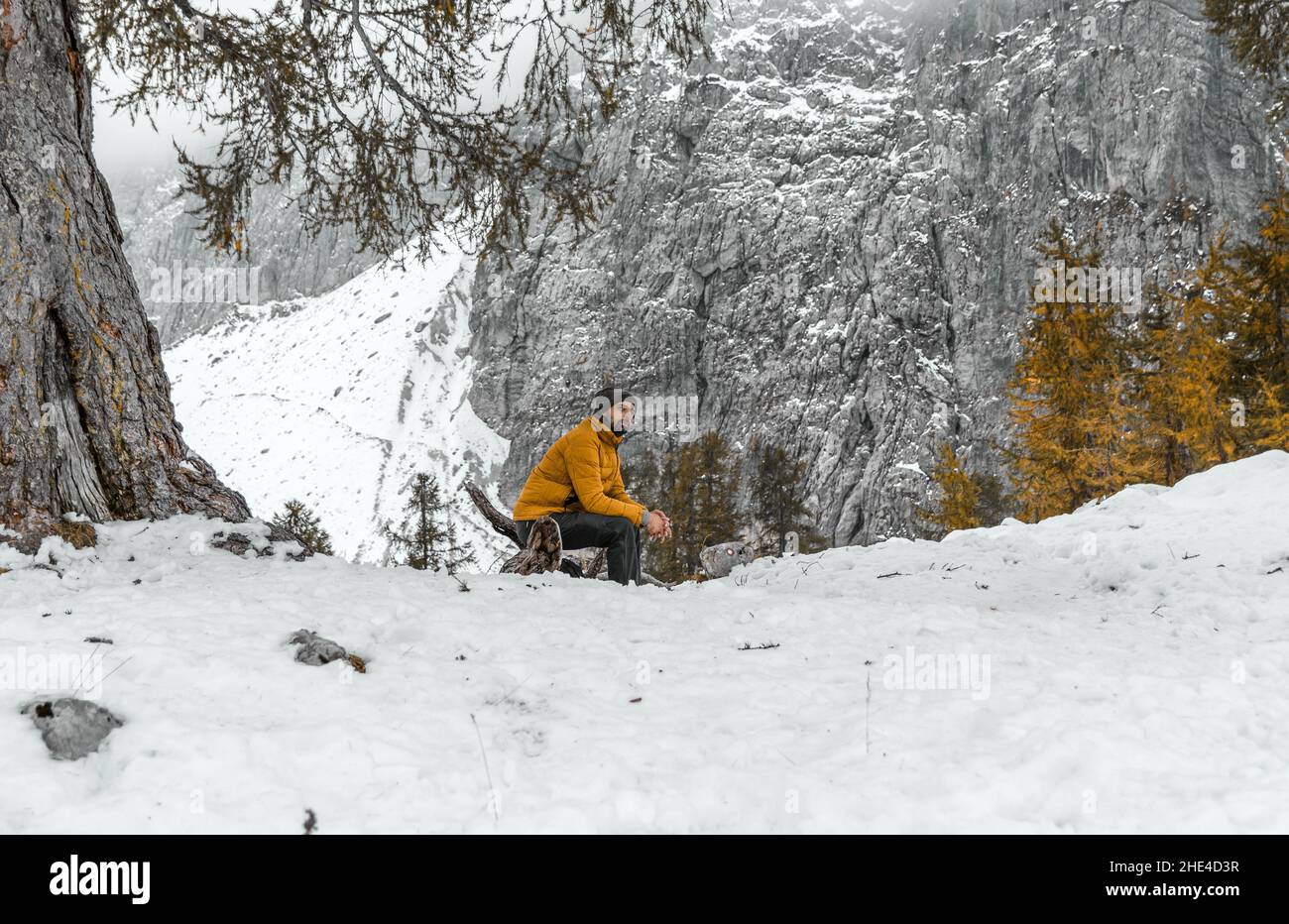 Escursionista maschile seduto sotto l'albero in montagne innevate nebbie nelle Alpi Giulie in Slovenia Foto Stock