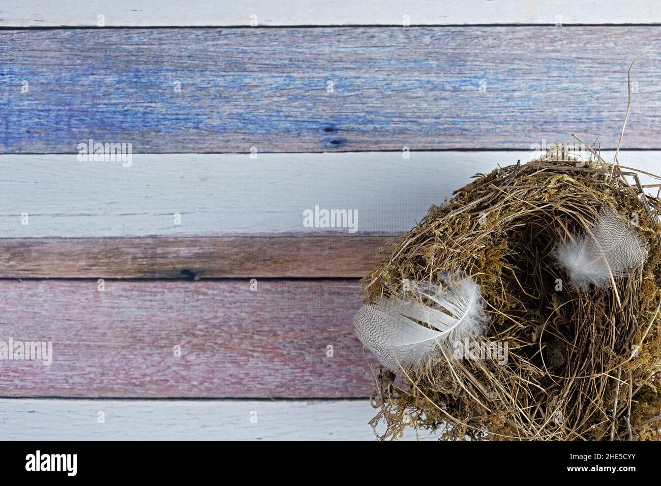 primo piano di un nido d'uccello con piume su sfondo di legno Foto Stock