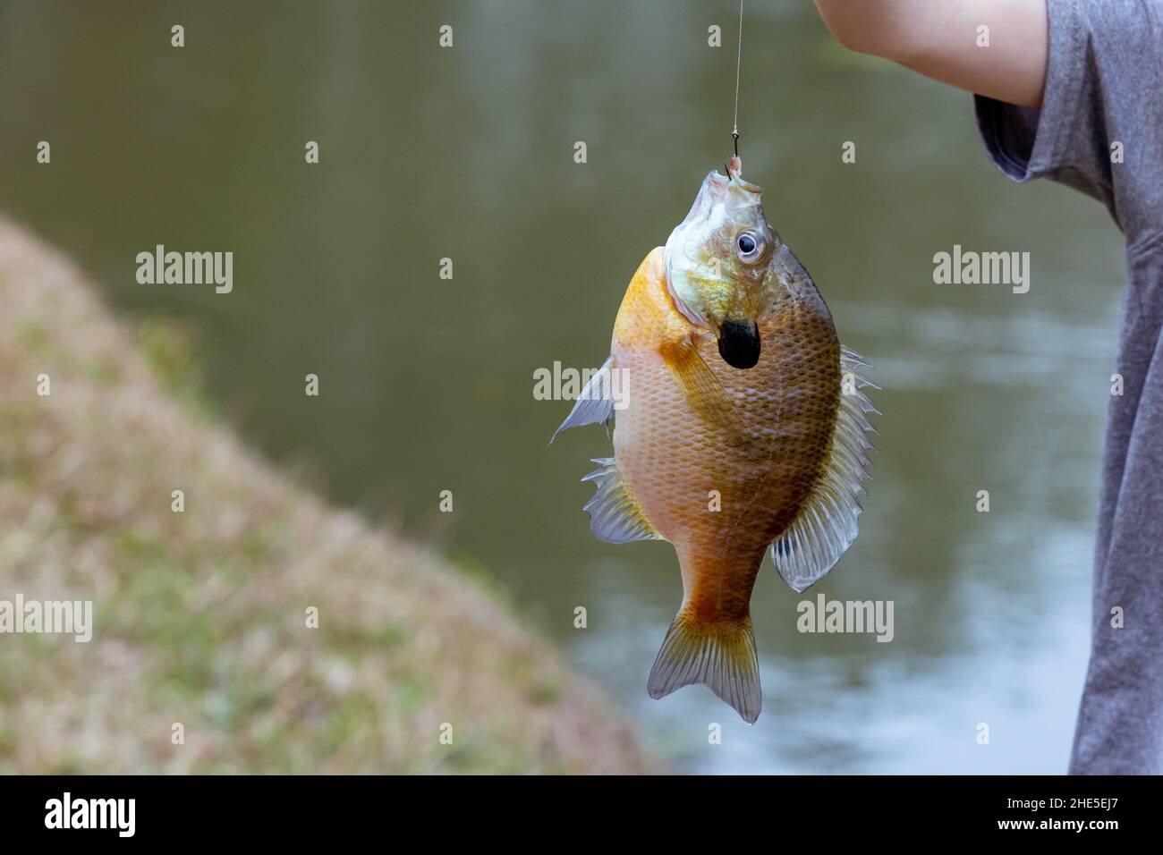 Il giovane ragazzo con orgoglio tiene in mano il pesce che ha catturato Foto Stock
