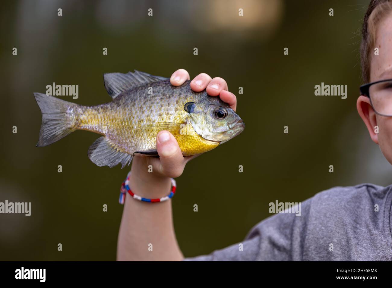 Ragazzo orgogliosamente tenendo in mano il pesce bluegill che ha catturato Foto Stock