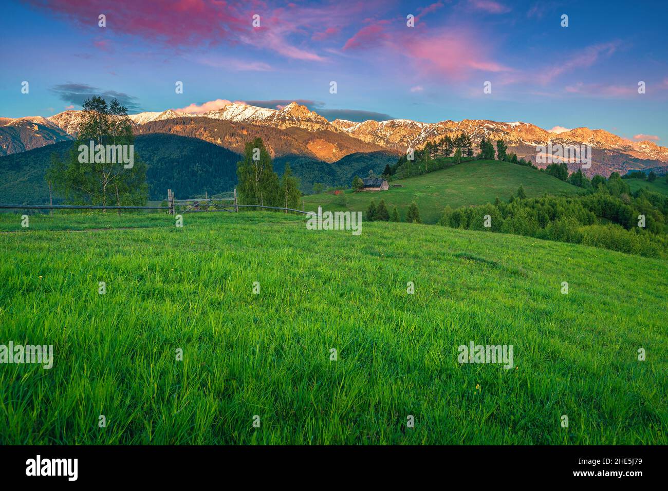 Ammirevole paesaggio alpino con campi verdi e montagne innevate al tramonto, Moieciu de Sus, Romania, Europa Foto Stock