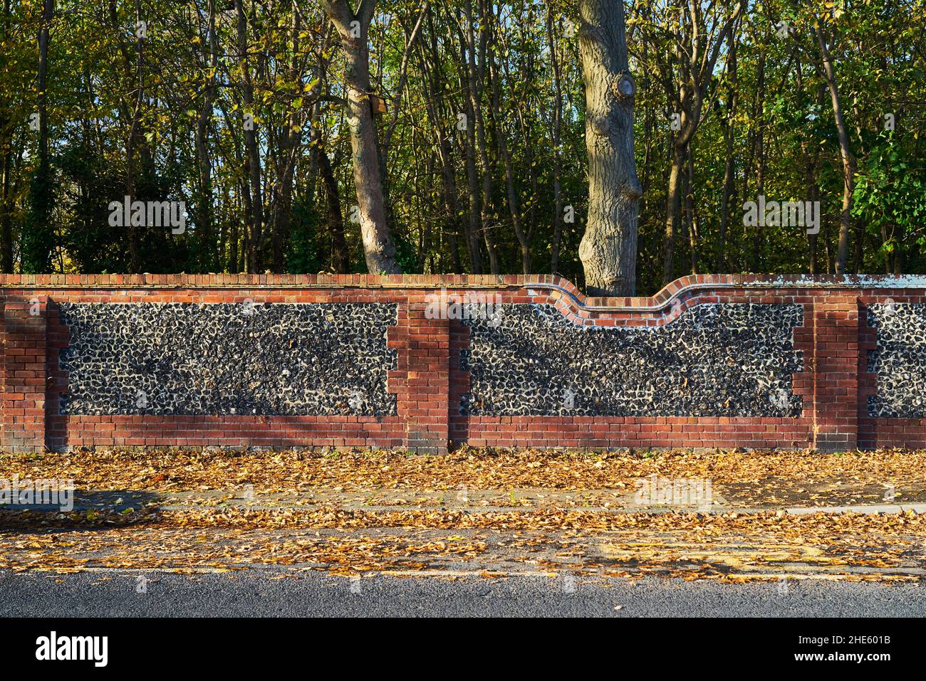 Vista di un recinto basso in pietra di un parco con alti alberi enormi in una giornata di sole all'aperto in una giornata di sole Foto Stock