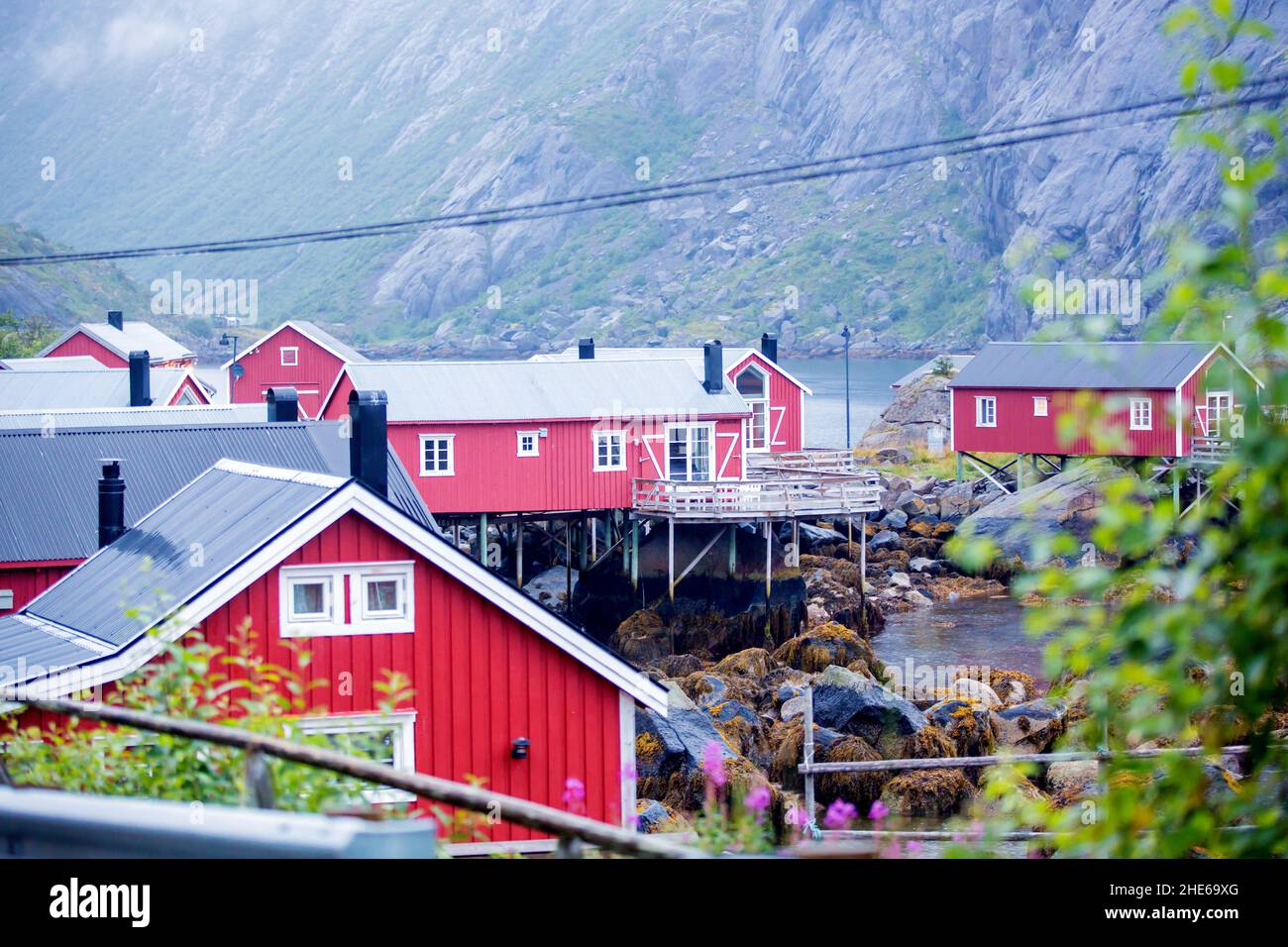 Tipiche cabine di pesca Rourbuer nel villaggio di Lofoten Nusfjord in una giornata piovosa, in estate. Tradizionale casa norvegese di legno rosso Foto Stock