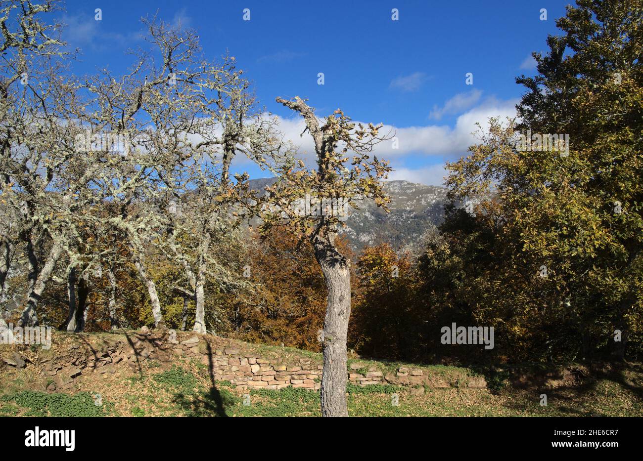 Parte montuosa della Cantabria nel nord della Spagna, percorso escursionistico per Mirador de Santa Catalina o Mirador de Jozarcu punto di vista Foto Stock