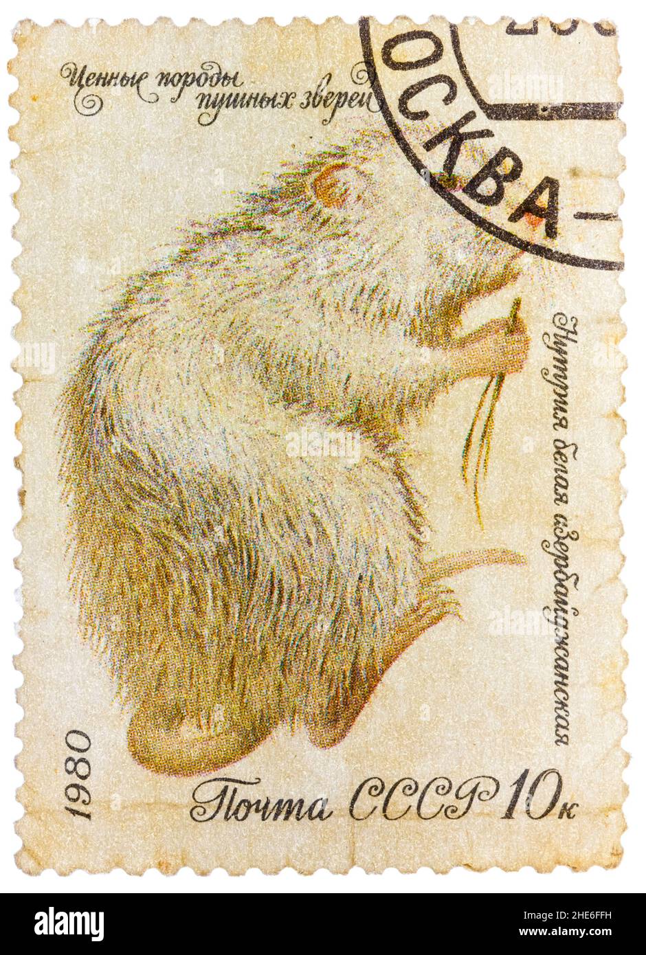 I francobolli della serie 'Fur-Bearing Animals' stampati dall'URSS mostrano 'Nuria White' Foto Stock