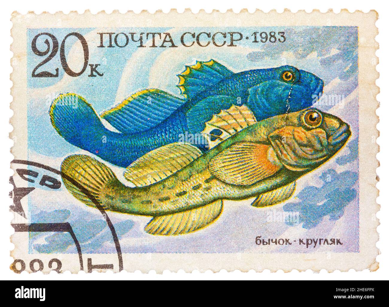 Francobollo stampato dalla Russia, mostra pesce, Neogobius fluviailis Foto Stock
