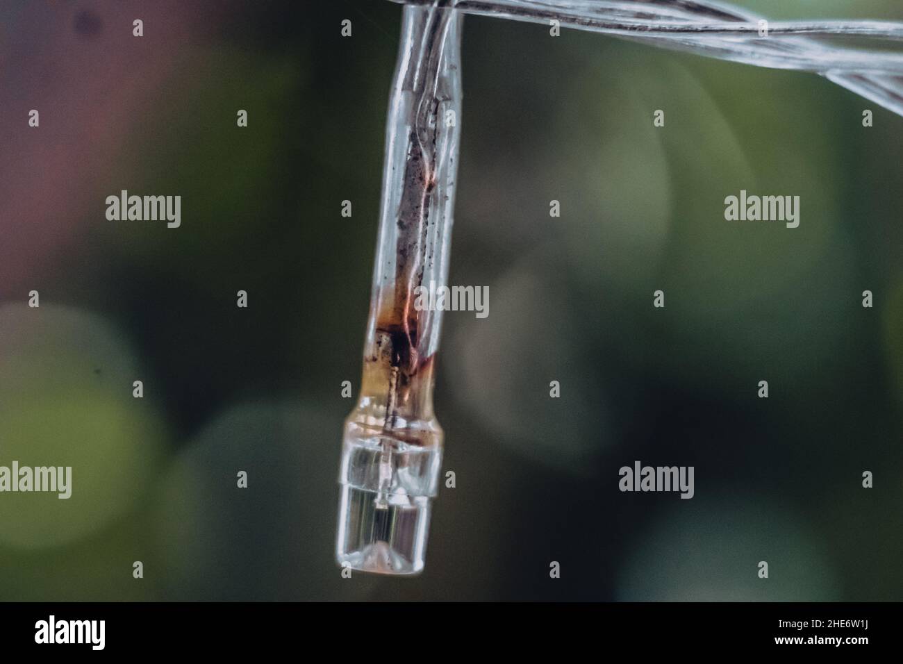 Macro primo piano vecchio piccolo bruciato bianco plastica pallida diodo ad emissione luminosa LED striscia di lampada di ghirlanda elettrica. Sfocatura dello sfondo. Oggetto esterno Foto Stock