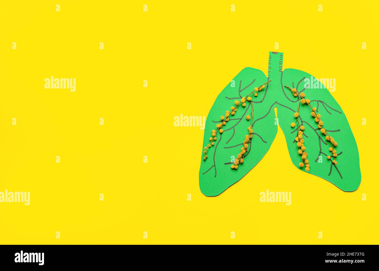 Carta polmoni umani con fiori su sfondo colorato Foto Stock