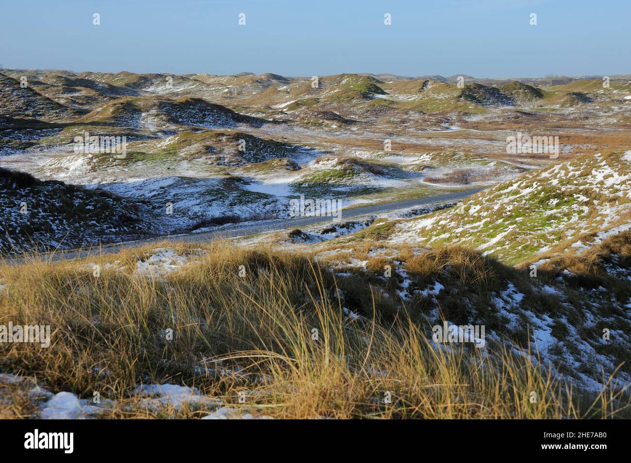 Dünenlandschaft, Inverno, Norderney, Ostfriesische Inseln, Reg.-Bez. Weser-EMS, Landkreis Aurisch, Niedersachsen, Deutschland, Europa | paesaggio con Foto Stock