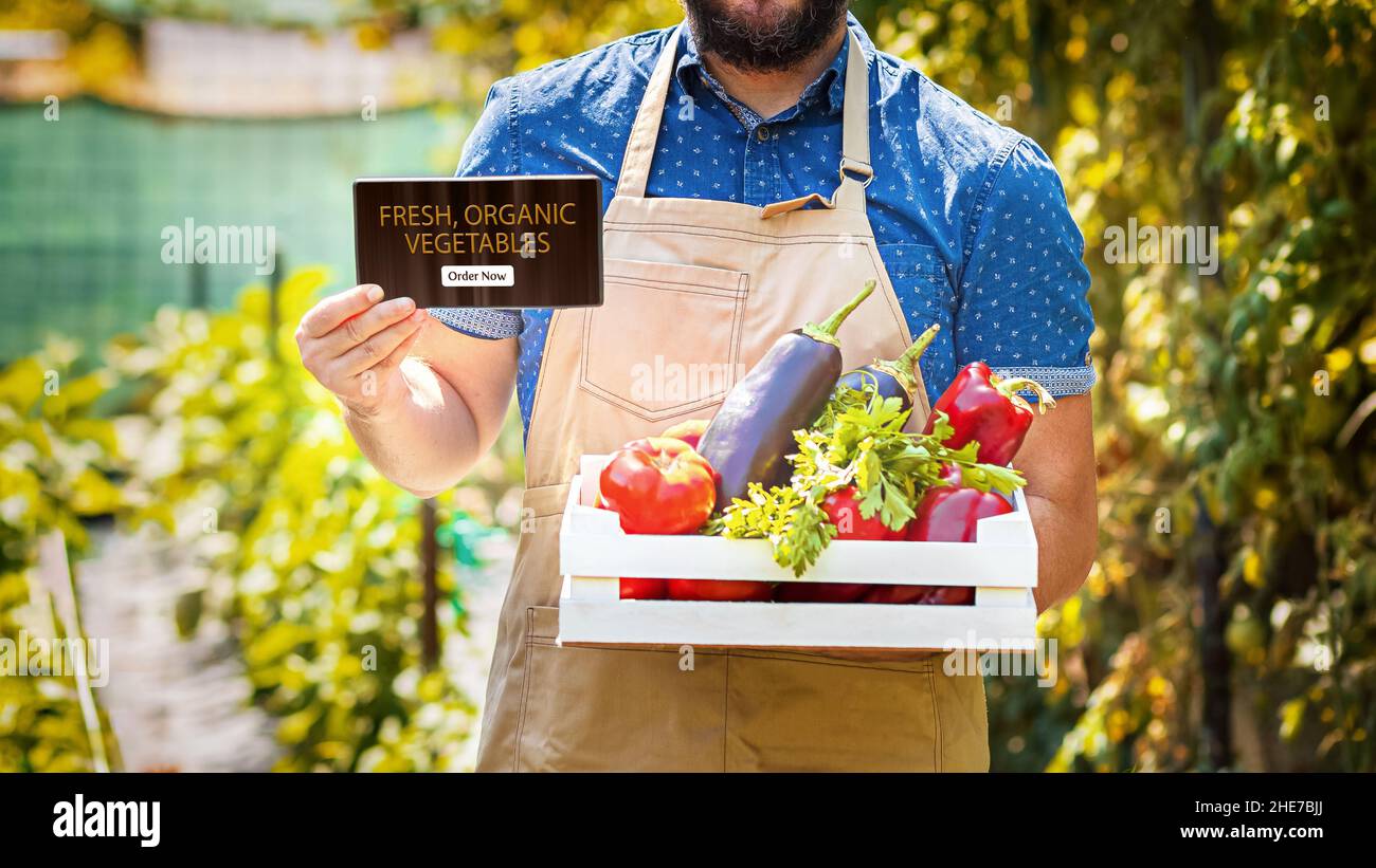 Un agricoltore di tendenza di successo che vende verdure biologiche dal bio-giardino al mercato online Foto Stock