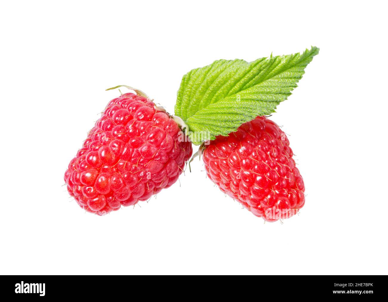 Bacche di Raspberri con foglie isolate su sfondo bianco. Frutti rossi maturi di lamponi da vicino. Raccolta. Foto Stock