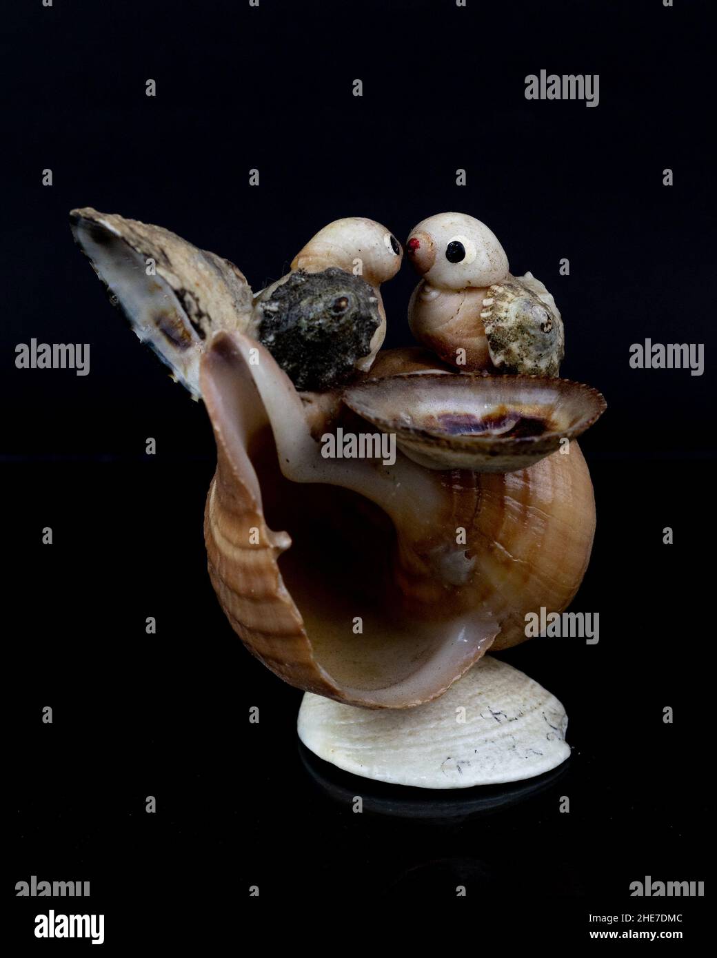 Foto di uccelli artigianali su conchiglie incollate e sfondo nero - il concetto di amore Foto Stock