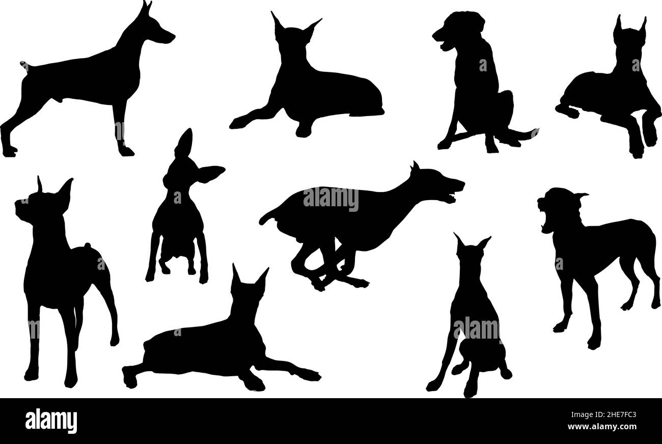 set di silhouette per cani doberman pinscher svg Illustrazione Vettoriale