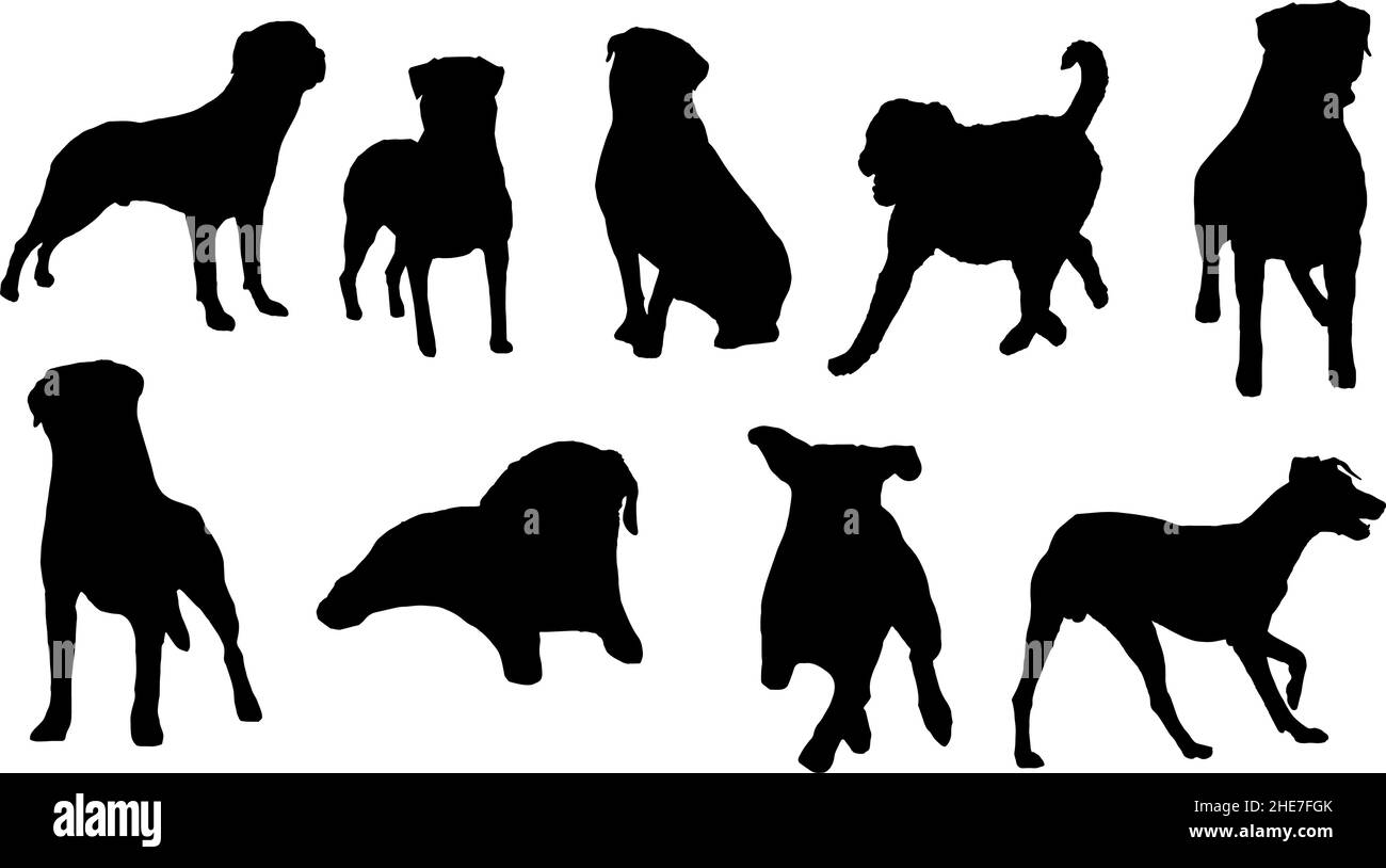 set di silhouette di cane rottweiler svg Illustrazione Vettoriale