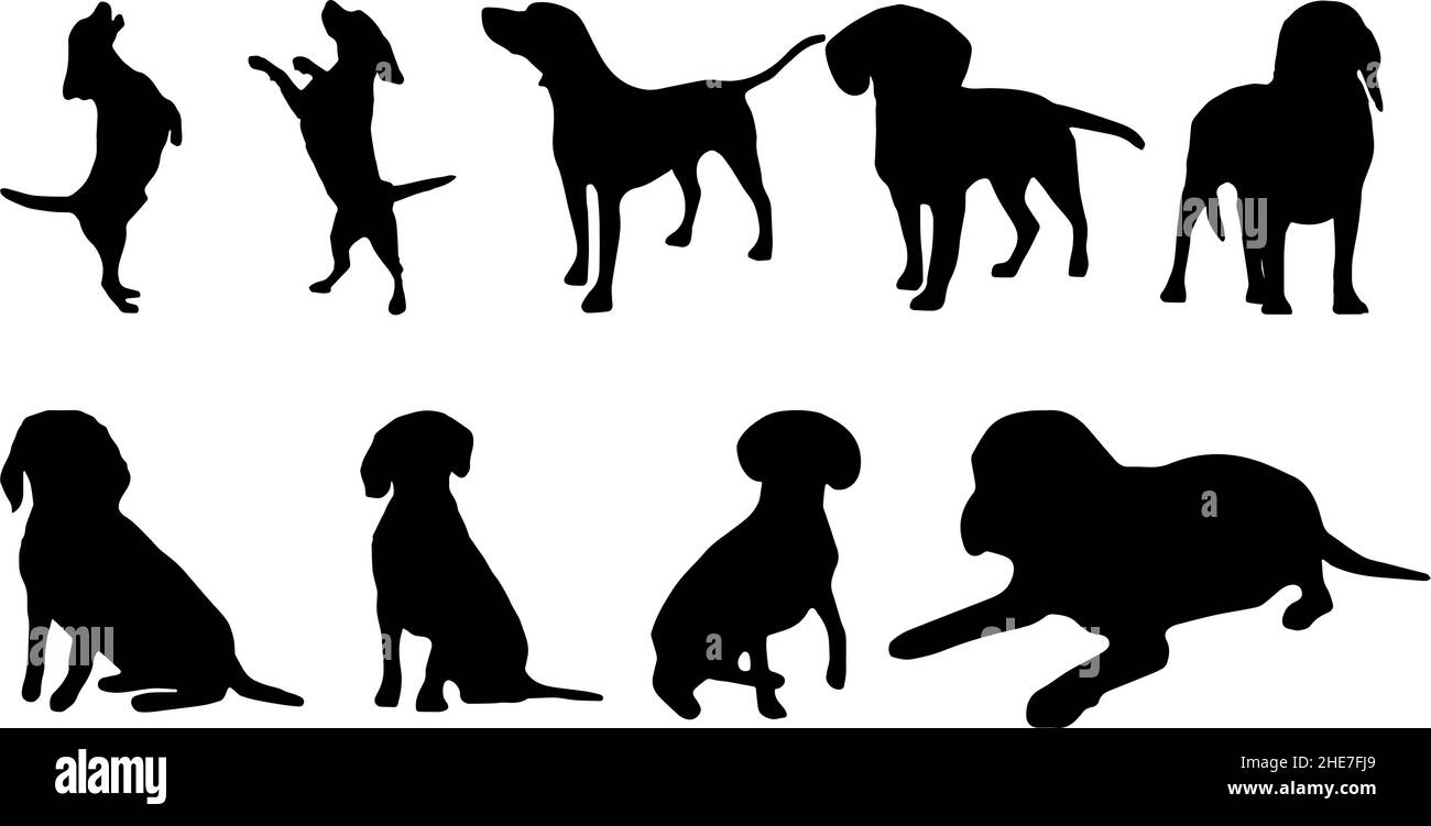 american foxhound cane silhouette bundle svg Illustrazione Vettoriale