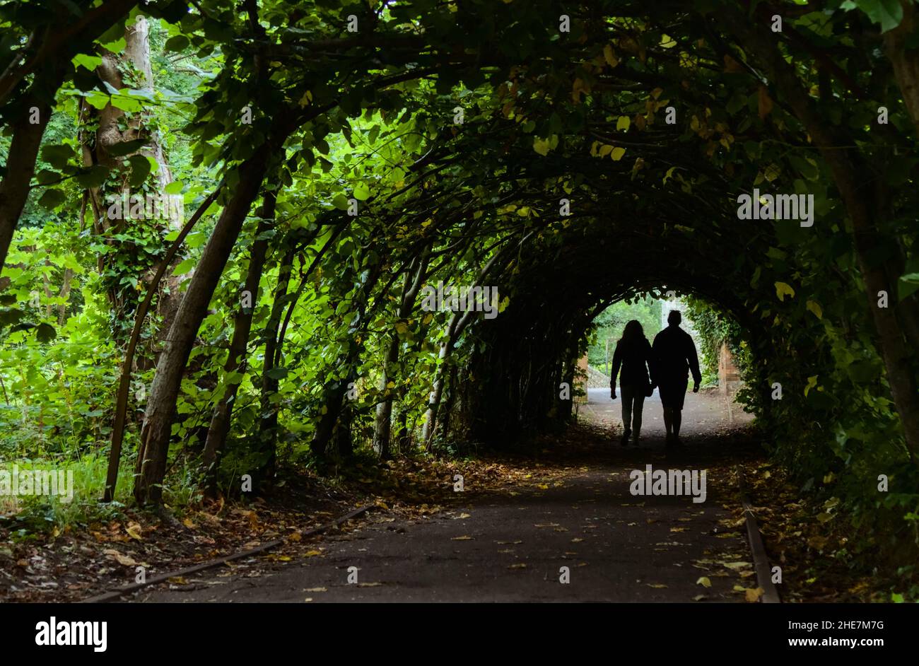 Due persone, coppia sagome camminando attraverso Un tunnel di alberi di lime fuori Christchurch Priory, Christchurch in Estate, Regno Unito Foto Stock
