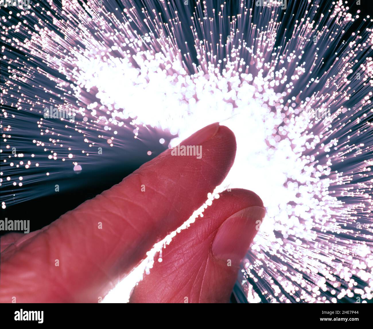Tecnologia di comunicazione. Primo piano dei filamenti di fibra ottica tenuti in mano. Foto Stock